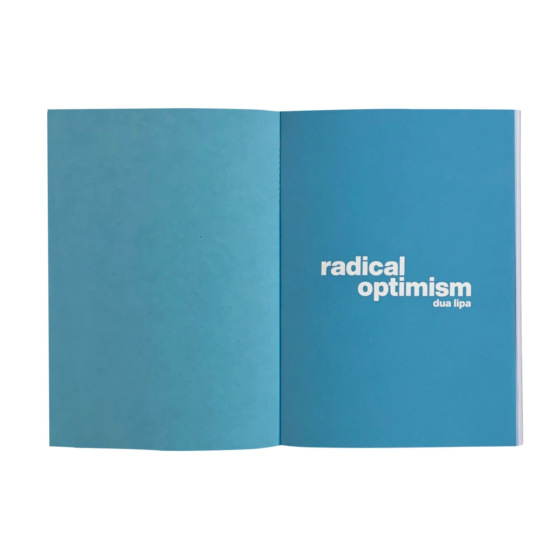 Dua Lipa radical optimism handwritten album notebook