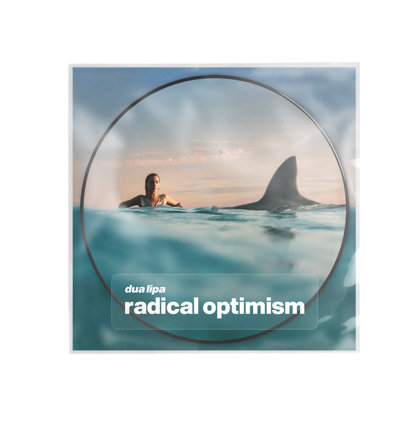 Dua Lipa Radical Optimism Picture Disc Vinyl