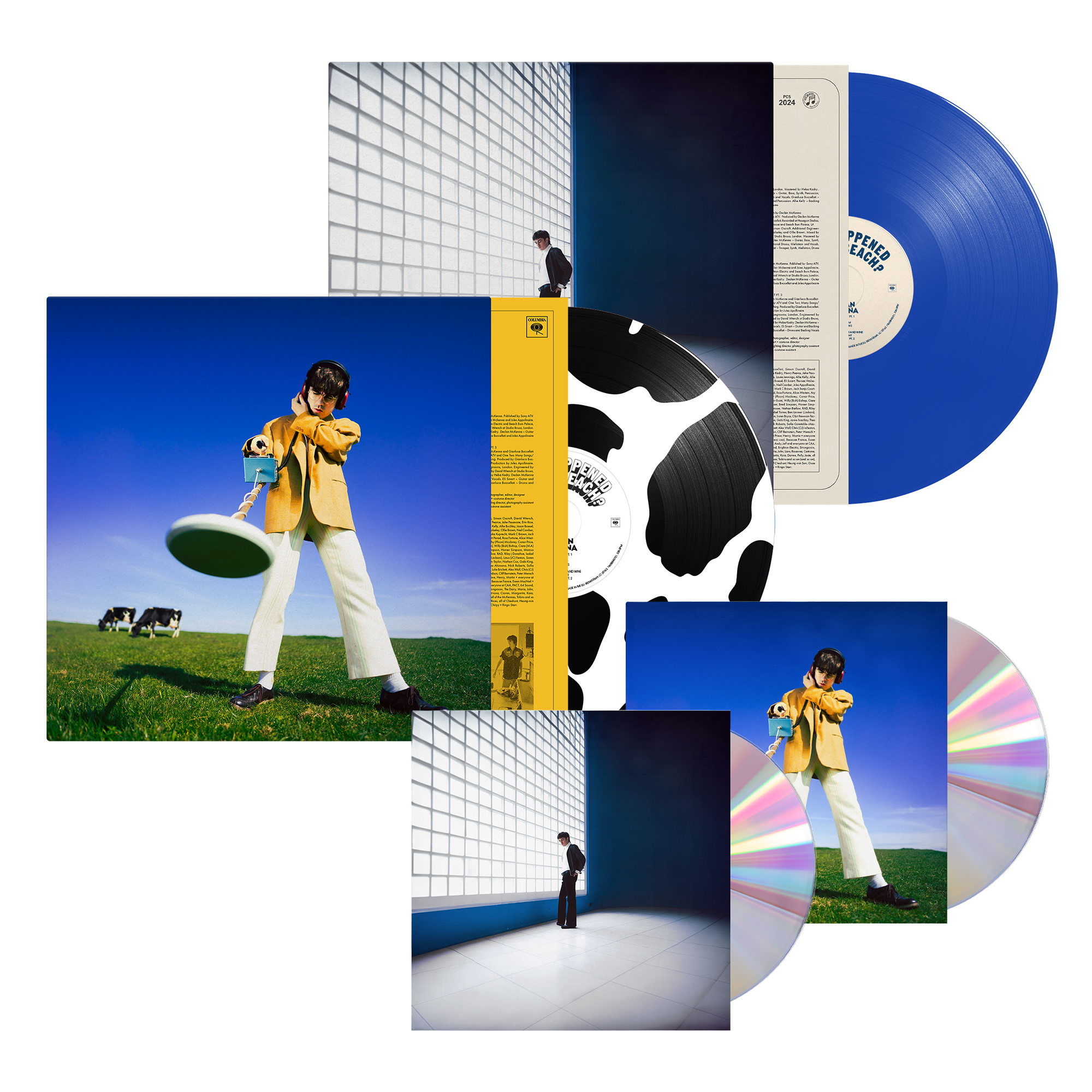 Declan Mckenna What Happened To The Beach? Complete Bundle