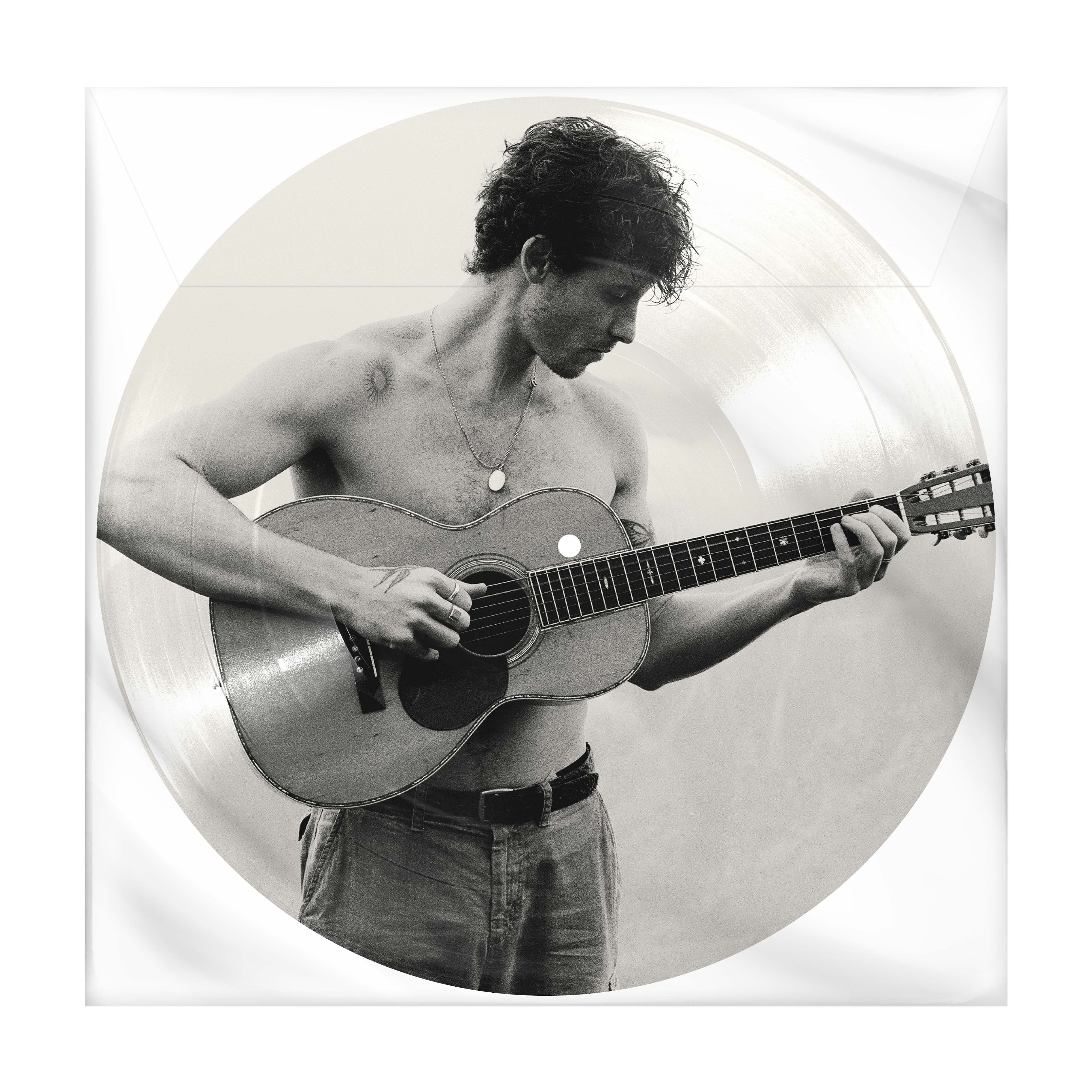 Shawn Mendes Shawn Picture Disc Vinyl