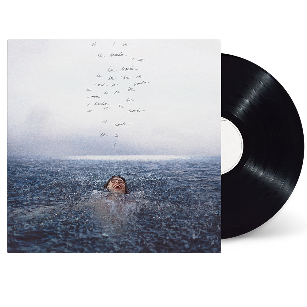 Shawn Mendes Wonder Vinyl