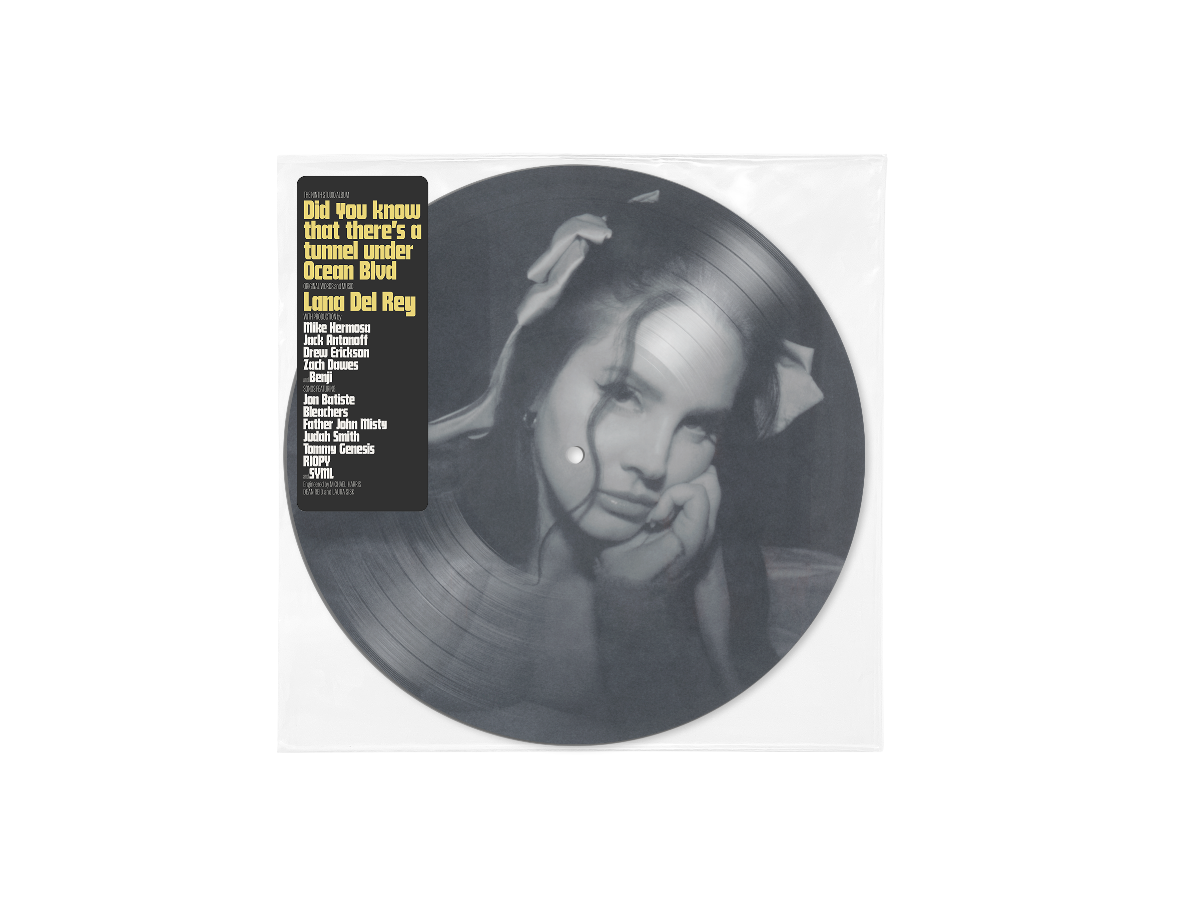 Lana Del Rey Did you know that there's a tunnel under Ocean Blvd Picture Disc Vinyl