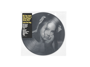 Lana Del Rey Did you know that there's a tunnel under Ocean Blvd Picture Disc Vinyl