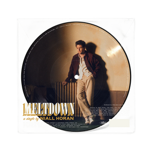 Niall Horan Meltdown Single Vinyl