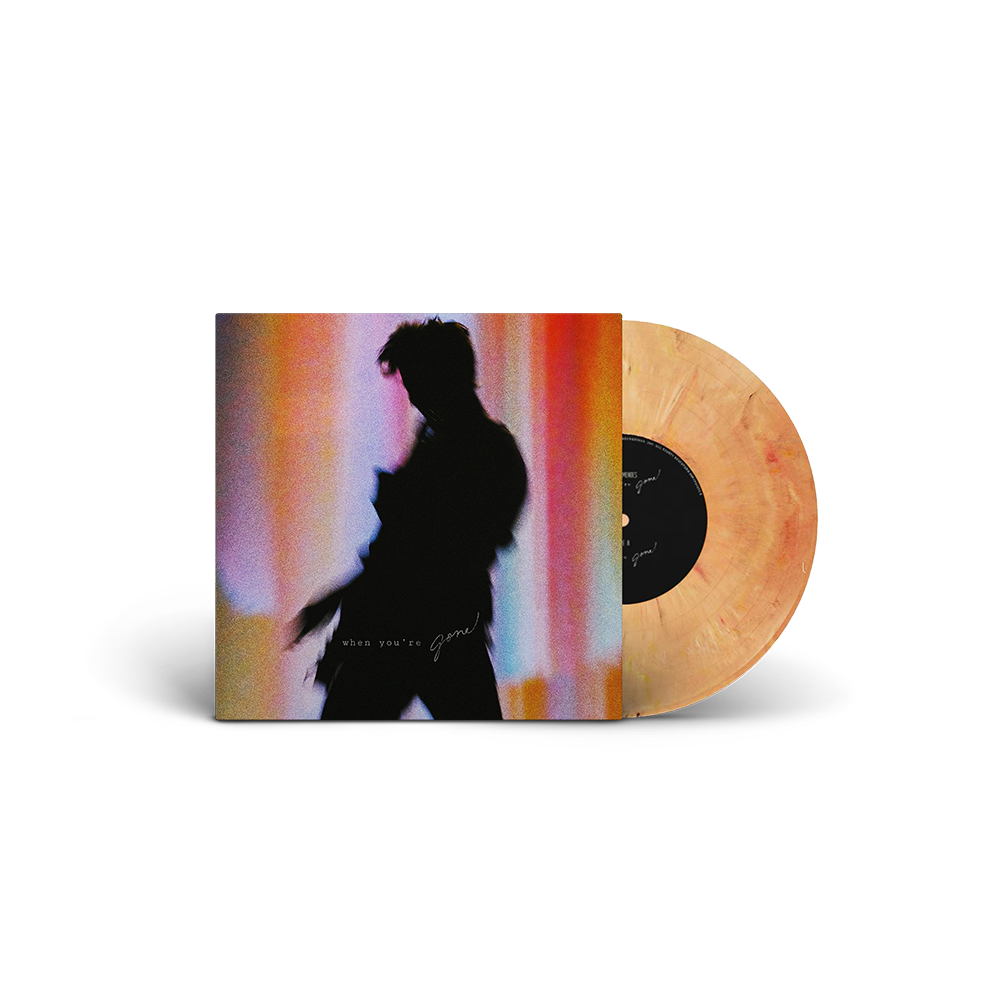 Shawn Mendes When You're Gone Vinyl