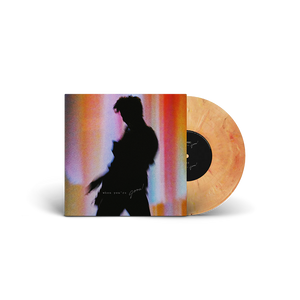 Shawn Mendes When You're Gone Vinyl